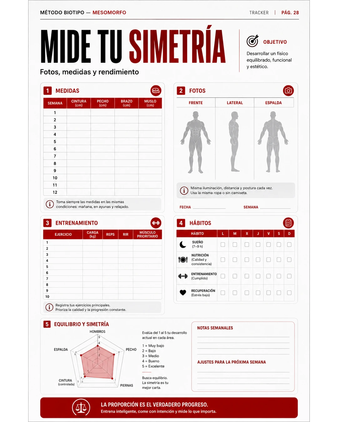 Tracker del Método Mesomorfo